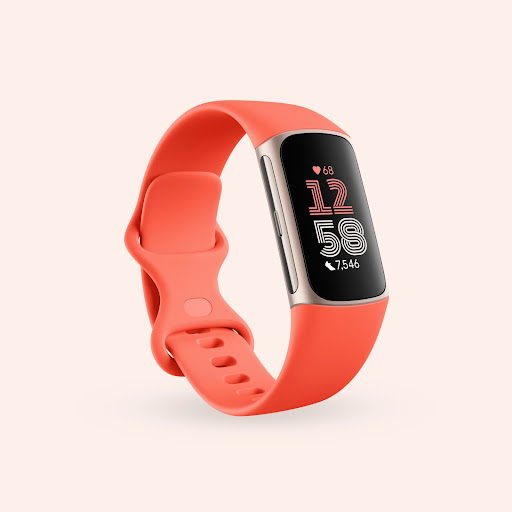 Google Fitbit Charge 6